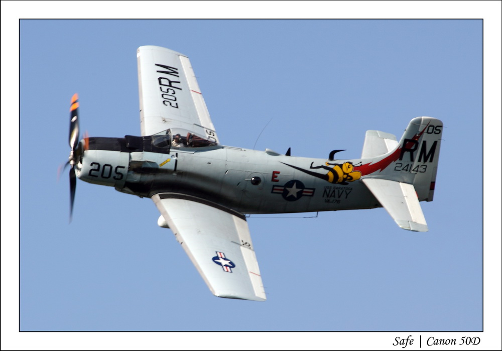 2010   05   Ferte Alais   313